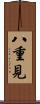 八重見 Scroll