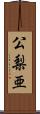 公梨亜 Scroll