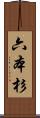 六本杉 Scroll