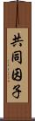 共同因子 Scroll