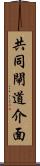 共同閘道介面 Scroll