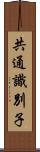 共通識別子 Scroll