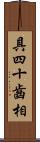 具四十齒相 Scroll