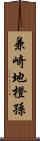 兼崎地橙孫 Scroll