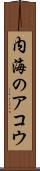 内海のアコウ Scroll
