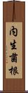 内生菌根 Scroll