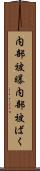 内部被曝 Scroll