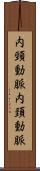 内頸動脈 Scroll