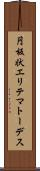 円板状エリテマトーデス Scroll