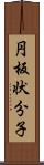 円板状分子 Scroll