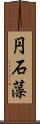 円石藻 Scroll