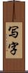 写字 Scroll