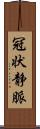 冠状静脈 Scroll