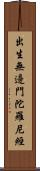 出生無邊門陀羅尼經 Scroll