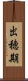 出穂期 Scroll