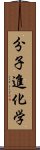 分子進化学 Scroll