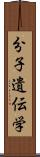 分子遺伝学 Scroll