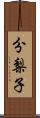 分梨子 Scroll