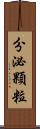 分泌顆粒 Scroll