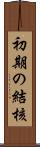 初期の結核 Scroll
