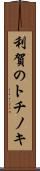 利賀のトチノキ Scroll