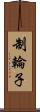 制輪子 Scroll