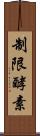 制限酵素 Scroll