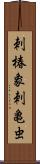 刺椿象;刺亀虫 Scroll