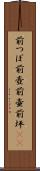前つぼ Scroll