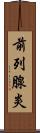 前列腺炎 Scroll
