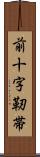 前十字靭帯 Scroll