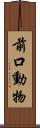 前口動物 Scroll