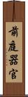 前庭器官 Scroll