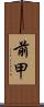 前甲 Scroll