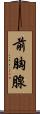 前胸腺 Scroll