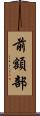 前額部 Scroll