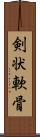 剣状軟骨 Scroll