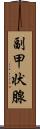 副甲状腺 Scroll