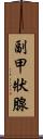 副甲狀腺 Scroll