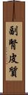 副腎皮質 Scroll