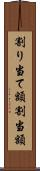 割り当て額 Scroll