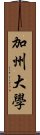 加州大學 Scroll