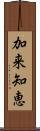 加来知恵 Scroll