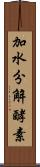加水分解酵素 Scroll