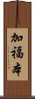 加福本 Scroll