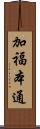 加福本通 Scroll