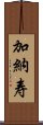 加納寿 Scroll