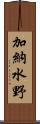 加納水野 Scroll