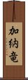 加納竜 Scroll