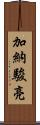 加納駿亮 Scroll